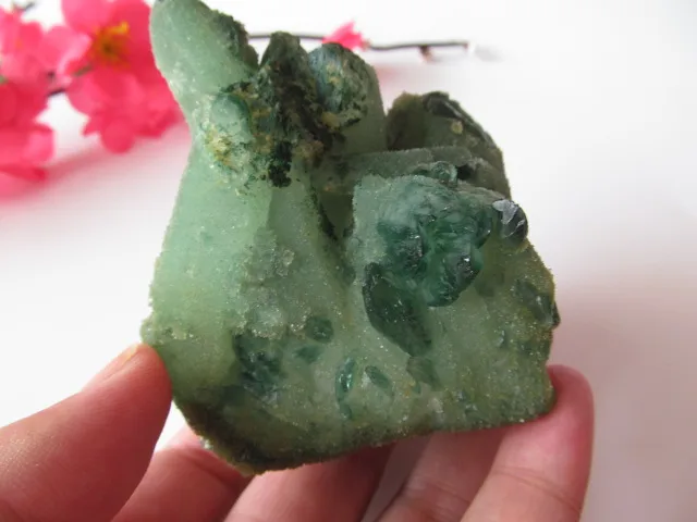 

301g Unique Natural Green Crystal Cluster Skeletal Quartz Point Wand mineral Healing crystal druse vug Specimen natural stones
