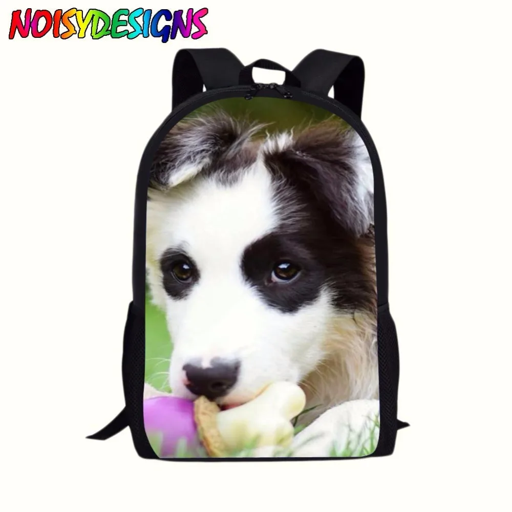 Школьная сумка Border Collie для школьников Подростковая Повседневная мальчиков и