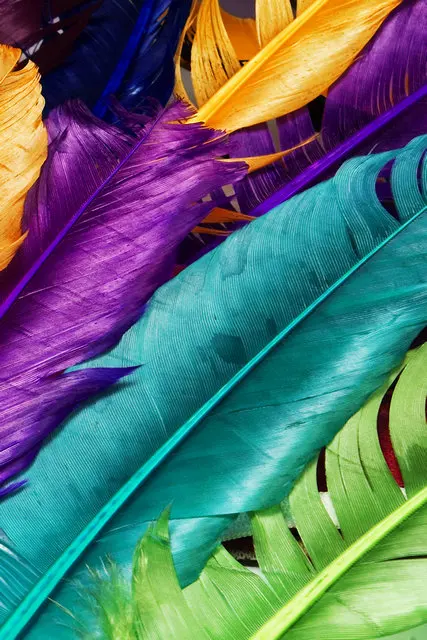 Современные картины на холсте 3 предмета красочные перья фотообои для столовой