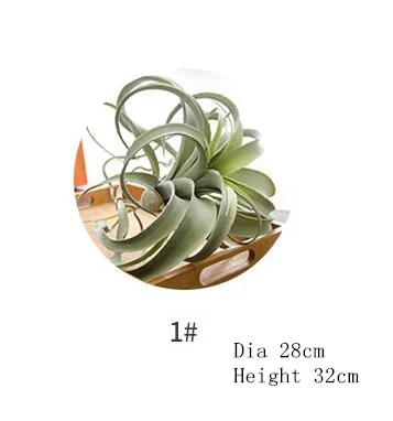 Bulbosa хлопок конфеты Детские Осьминог Искусственные Поддельные airplant тилландсия Capitata Steptophylla usneoid как настоящие растения суккулент - Цвет: No.1