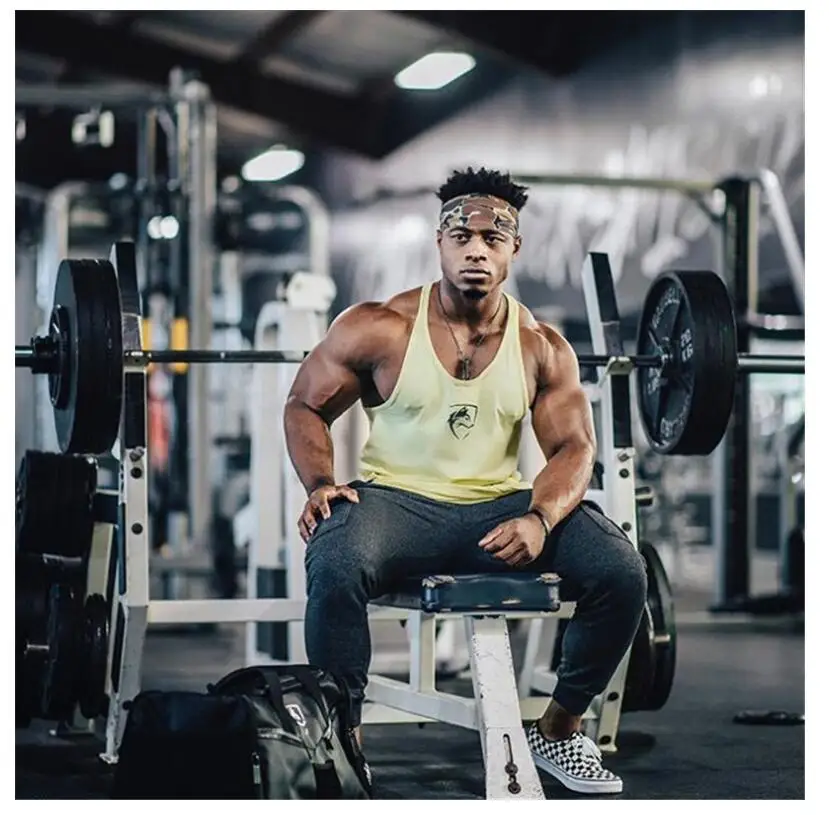ALPHALETE, новинка, пляжная мода, майка для тренажерного зала, мужская, хлопок, без рукавов, гавайская летняя майка, майка, брендовая майка, мужские топы