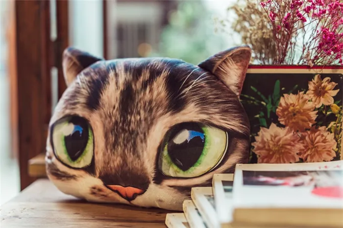 

3D creative personality new cute Meow stars cat pillow girl Office Funny Nostalgia Valentine's Day birthday gift