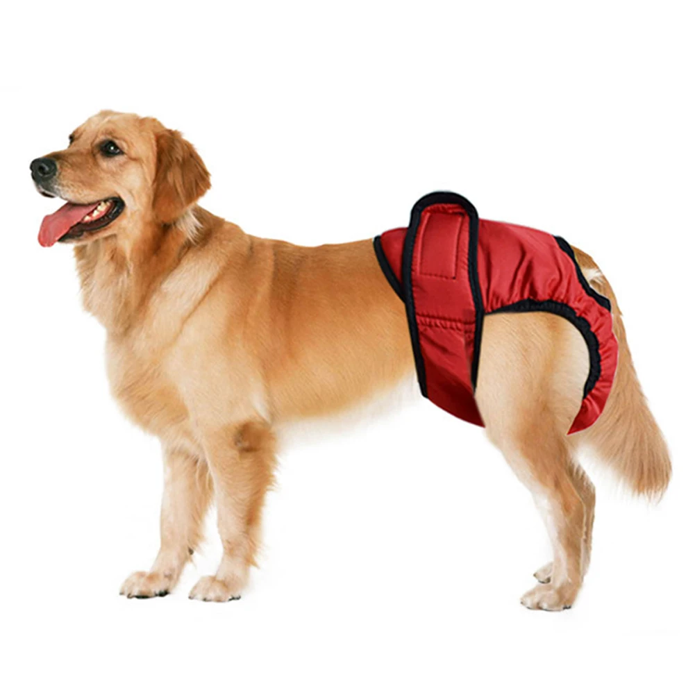 SUPEWOLD Magic Sticker Female Big Dog Shorts Physiological Pants Diaper Pet Underwear For Large Girl Dogs | Дом и сад