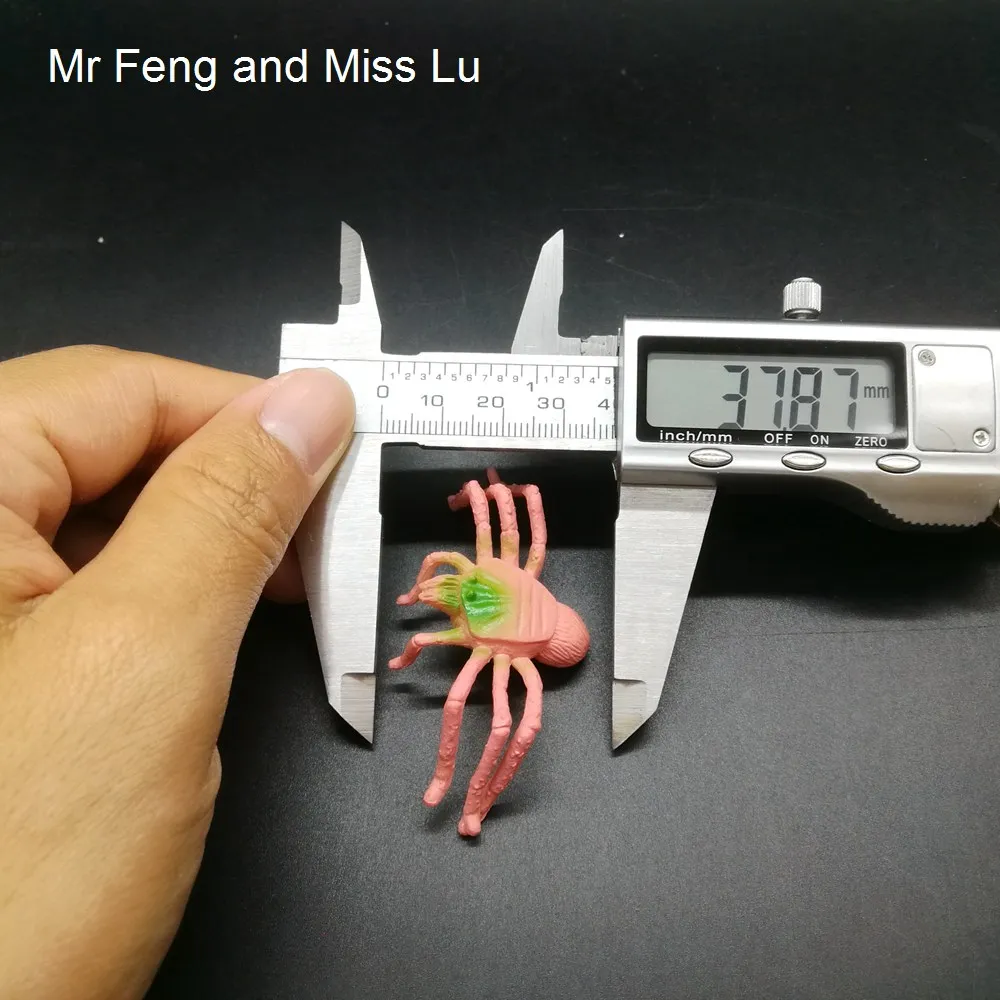 Роза Паук вставка практичные приколы Игрушки Наука Животные Природа модель