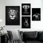 Современная природная фотография природы, искусство животных, черный, белый холст, фотография стены для гостиной, домашний декор