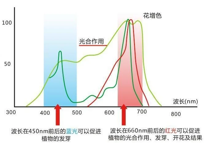 100 шт. светодиодные чипы полного спектра для выращивания растений 1 Вт нм-нм 45 мил |