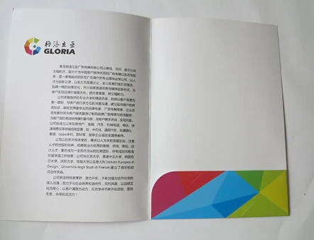 Папка для презентаций на прибыль компании A4 с одной картой (бесплатный дизайн