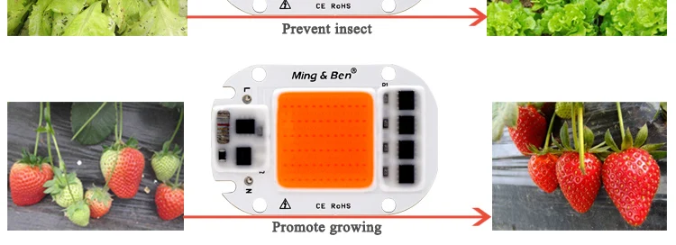 Светодиодный COB Чип для выращивания растений светильник полный спектр 220V 110V 20W 30W 50W для комнатных растений рост рассады и цветок роста растений светильник Инж