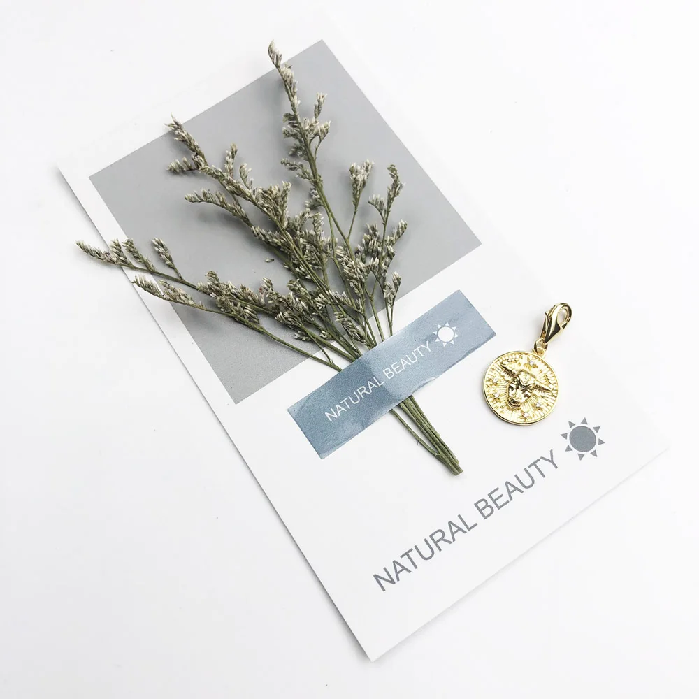 Шарм-подвеска со знаками Зодиака телец модные ювелирные изделия 2019 из