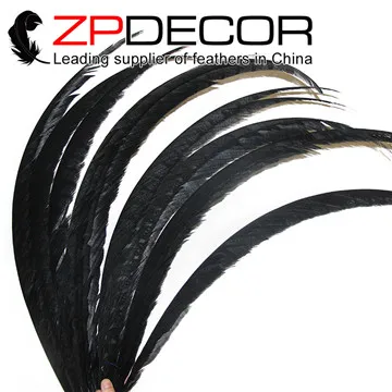 black ZPDECOR 50 шт./лот, разные цвета, хорошее качество, Зебра, перья для девушек, хвост, для карнавала, головной убор, Декор, перья, EMS/DHL - Цвет: black