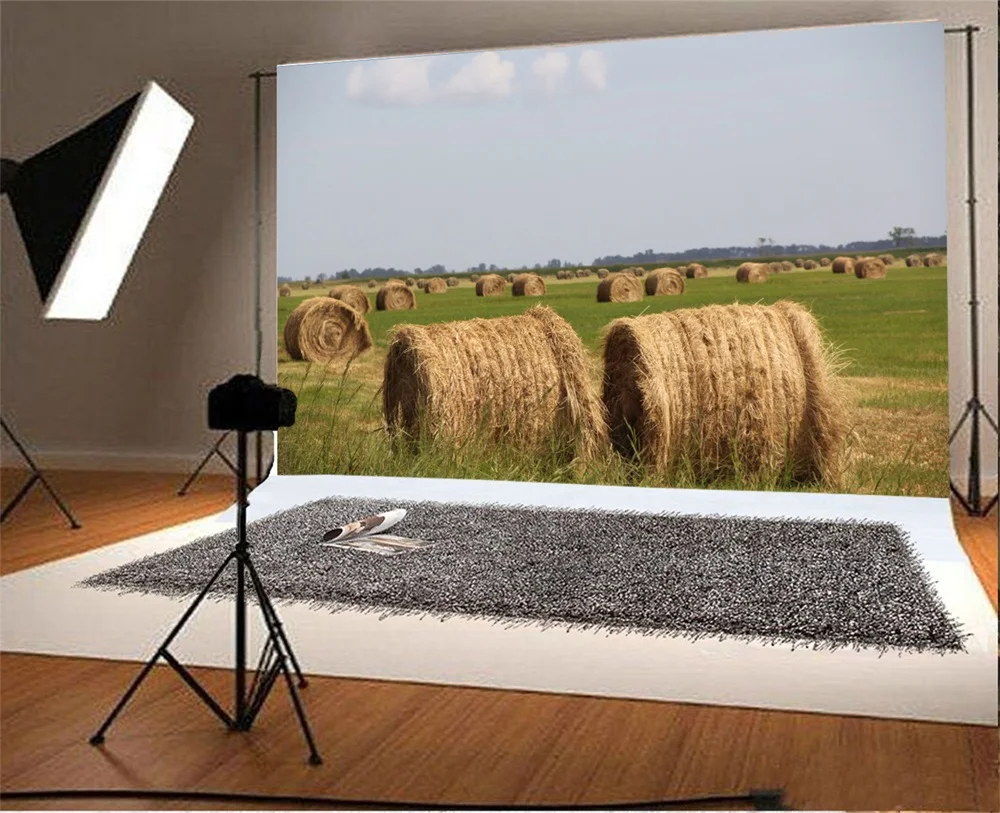 Laeacco Autumn Field Hay Roll Farm Scenic Photography Backgrounds Customized Photographic Backdrops For Photo Studio | Электроника