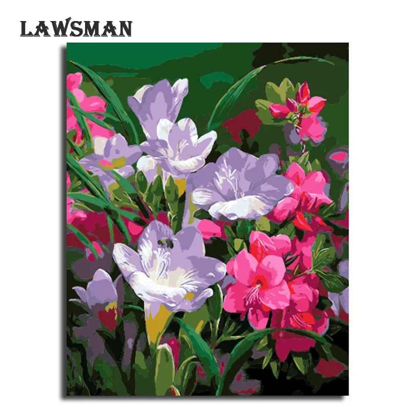 LAWSMAN framelsee diy картина маслом по номеру расписанную холст для живописи Главная