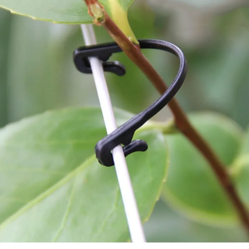 

100pcs Garden Plant Vines Tied Buckle Fixed Lashing Hook Agricultural Greenhouse Vegetable Gadget Garden Plastic Planters