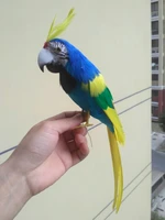 cute simulation colourful bird model foamfeathers parrot doll about 30cm