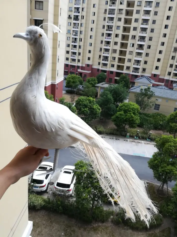 real life Bird white feathers Peafowls large 120cm peacock home garden decoration filming prop gift h1489 | Игрушки и хобби