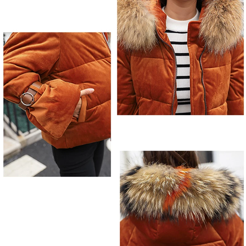 Повседневное куртка осень зима Женская парка 2018 короткие толстые теплые