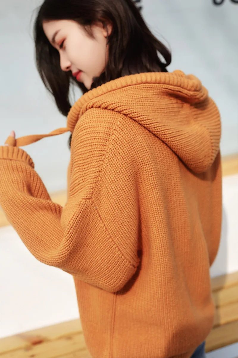 Cashmere Sweater Cap And Guard Women's Spring Autumn Long Sleeve Wool Thicker Jacket Zipper Cardigan Casual Sport |