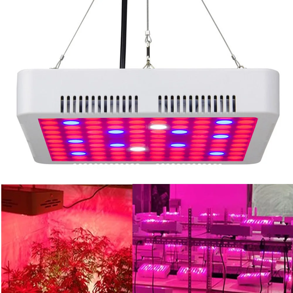 300W Full spectrum Grow Lights Panel Led plant lamps for indoor Greenhouse hydroponic systems 3x3 grow tent