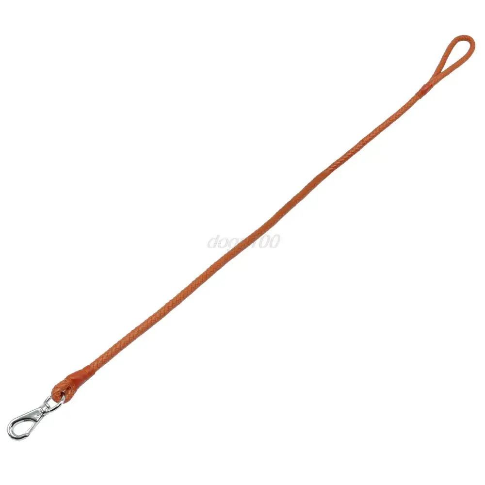 Плетеный скрученный поводок для собак из искусственной кожи домашних животных