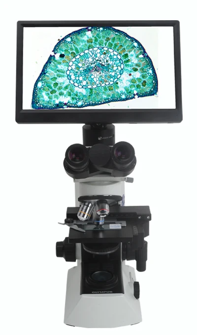 Камера AM серии 11 6 дюймов HD 1080P LCD IPS Displayer монитор для CMOS HDMI видео микроскоп камера