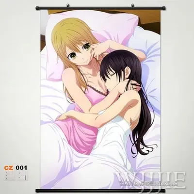 Домашний декор аниме плакат стена прокрутка цитрусовых Japanese60x80cm|Рисование и