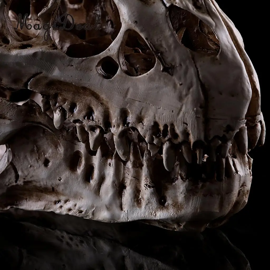 MagiDeal Реплика Черепа T rex из смолы статуэтка скелета коллекция декор для бара