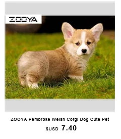 ZOOYA DIY Алмазная Вышивка картина три пингвина ходьба по снегу наклейки на стену ктузы по номерам наборы для вышивки крестом AT969