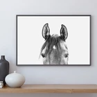 Черный и белый Peekaboo живопись на холсте с изображением лошади настенные художественные картины, современные животные голова лошади фото печать домашний декор