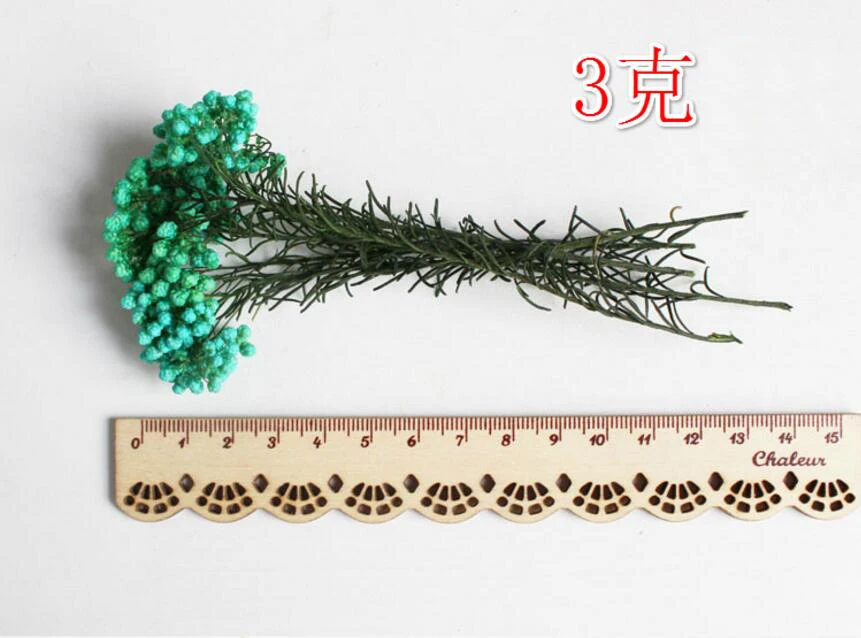 30 г Ozothamnus Diosmifolius консервированный цветок для свадебной вечеринки украшения дома