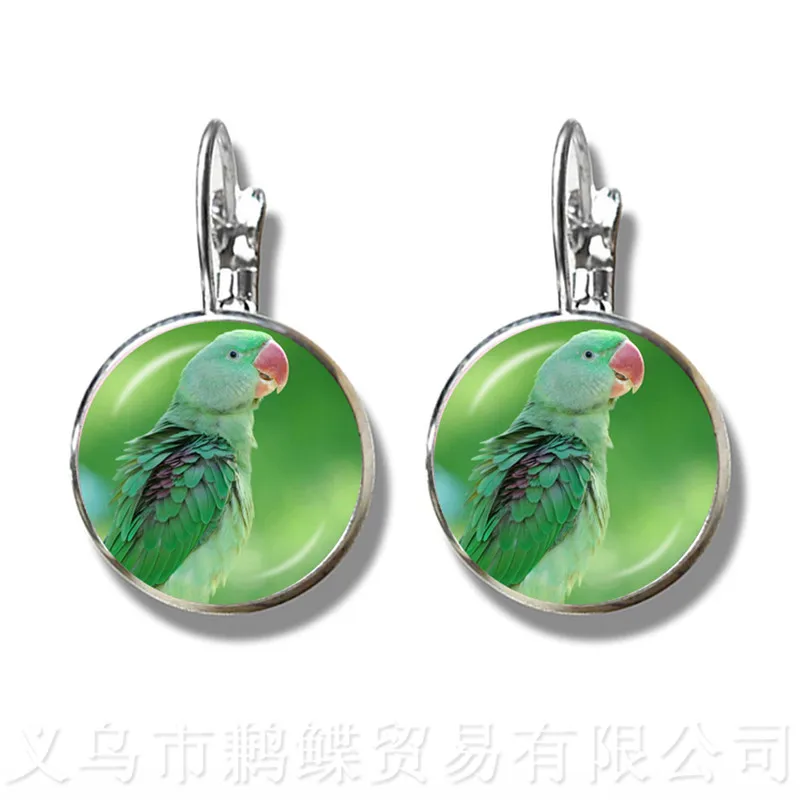 Flamingo Pattern Earrings New Fashion Round Glass Bird 16mm Dome Silver Plated Stud For Women Great Gift | Украшения и аксессуары
