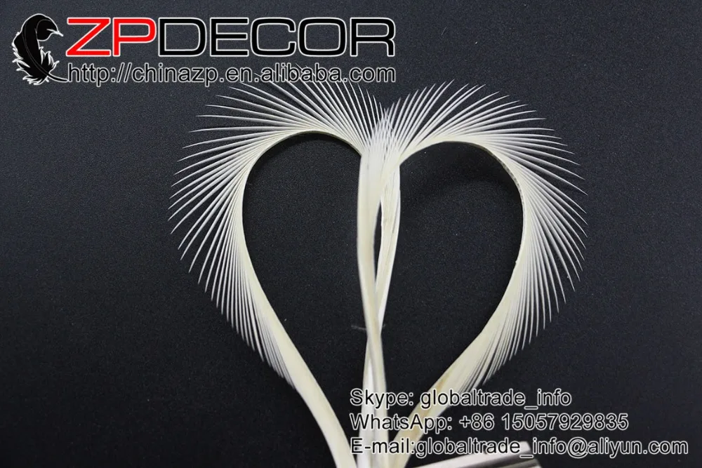 ZPDECOR 200 шт./лот 20 25 см (8 10 дюймов) ручной выбор премиум яркие белые большие гусиные