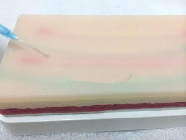 human skeleton anatomical skin suture stitching modeln anatomy Simulation Skin Wound Suture Practice Pad | Канцтовары для офиса и