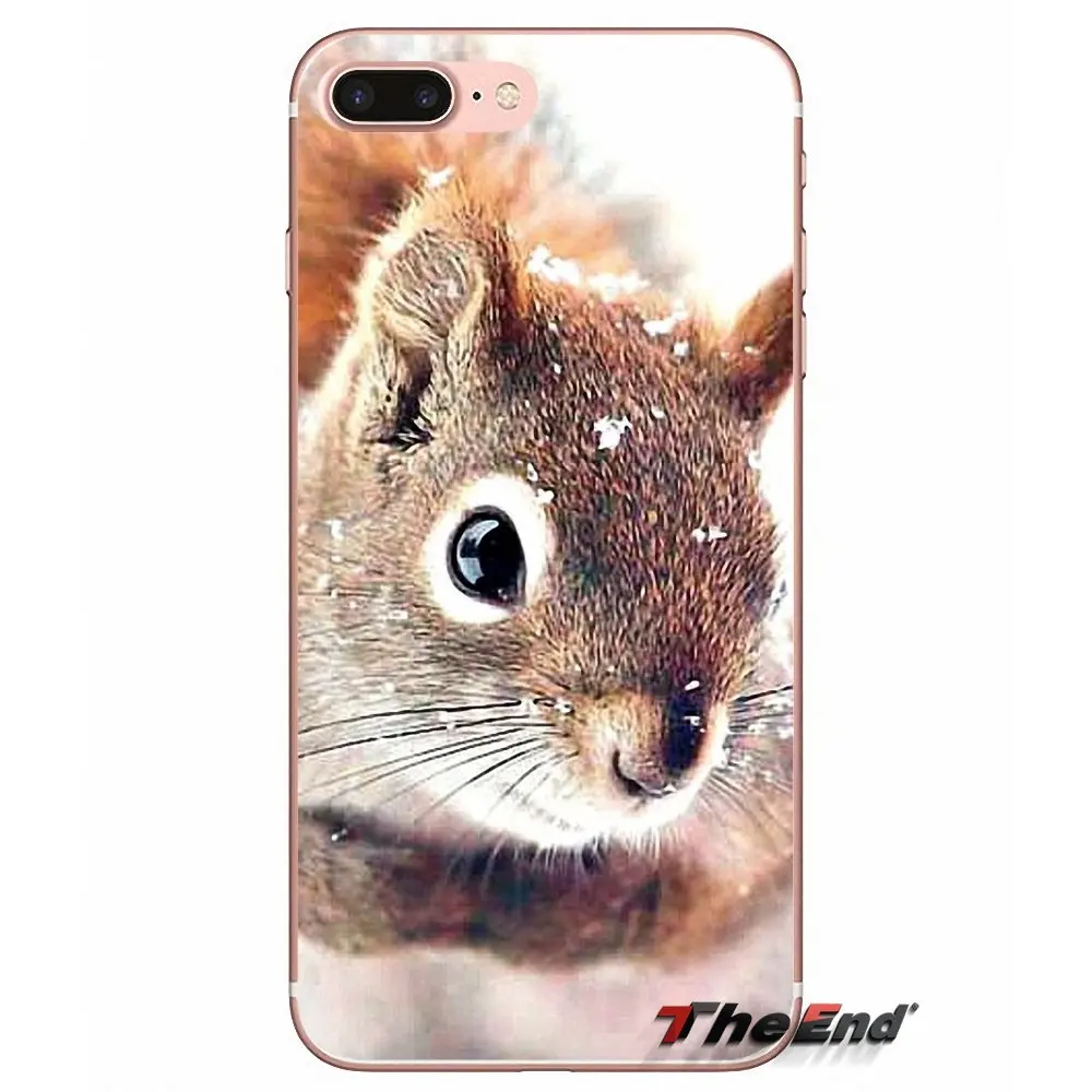 Силиконовый чехол для iPhone X 4 4S 5 5S 5C SE 6 6S 7 8 Plus Samsung Galaxy J1 J3 J5 J7 A3 A5 2016 2017 Red Squirrel Sciurus