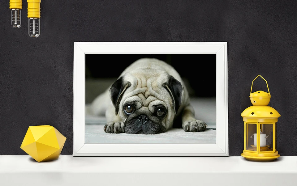 5DIY Алмазная вышивка, животные Собаки мопса маленькие домашние животные, 5 алмазная живопись, вышивка крестиком, 3D, алмаз, рукоделие, Рождество