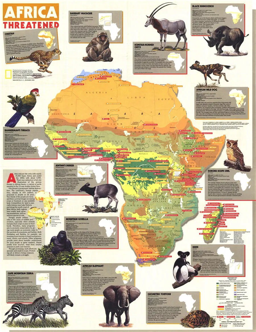 National Geographic Africa ретро Картина на холсте винтажный принт плакат настенная наклейка