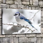Картина на холсте, домашний декор, 1 шт., красивый Зимний синий Джей, птица, постер для гостиной, настенное искусство, Снежная сцена, картины с рамкой
