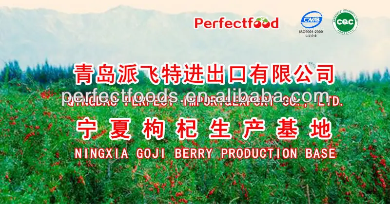 Chinese dried goji berry |