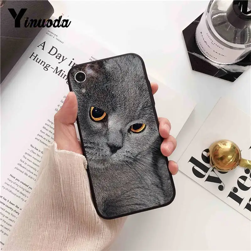 Yinuoda Британский короткошерстный чехол для iPhone 8 7 6 6S 6Plus X XS MAX 5 5S SE XR Fundas Capa 11 pro max |