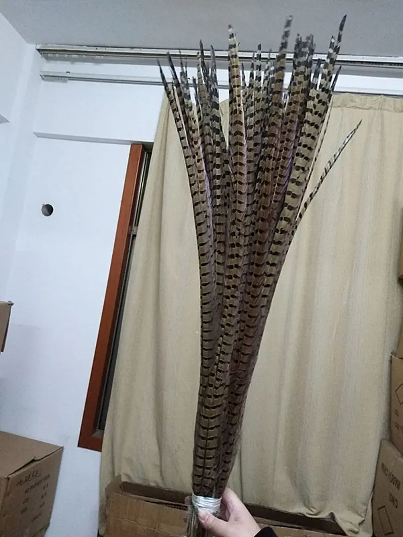 100pcs Новинка! 20 шт-500 шт натуральные перья фазана 90-100 см/36-40 дюймов Свадебная одежда сценические шоу и карнавал DIY аксессуары - Цвет: 100pcs