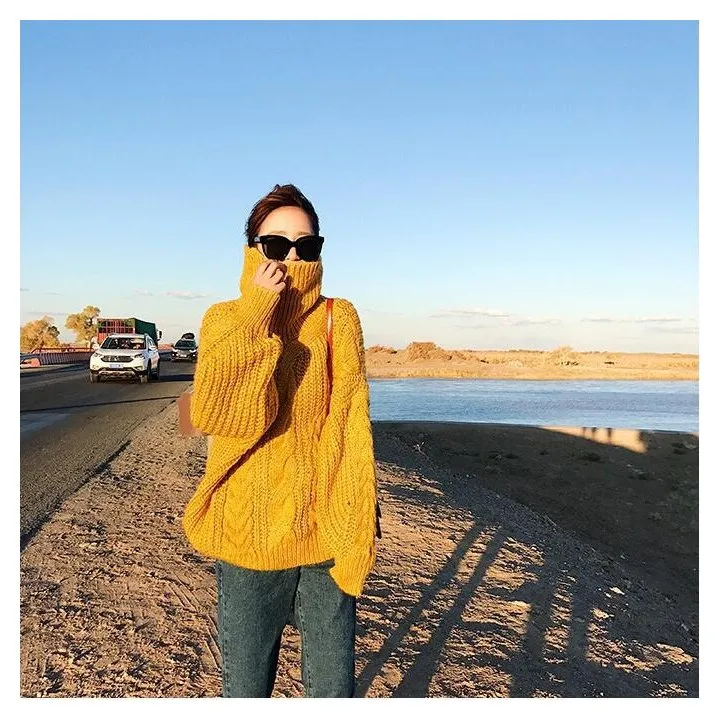 Autumn Winter Women Turtleneck Casual Sweater Loose Coarse Line Knitted Pullovers Fashion Large Size Solid | Женская одежда