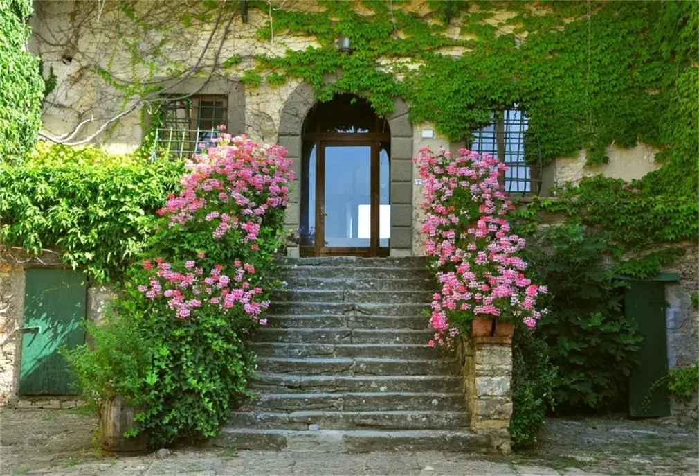 Photography Backdrop Ric European House Green Vine Fresh Flowers Stair Arch Door Weddin Girl Photo Background | Электроника