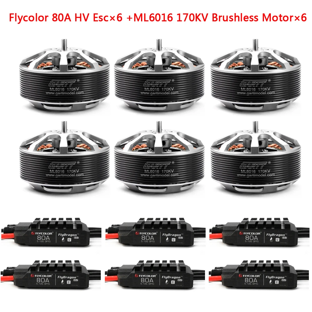 GARTT 6 шт. ML 6016 170/310 кв бесщеточный двигатель + Flycolor 80A HV ESC для защиты растений гексакоптер|brushless esc|brushless motorkv
