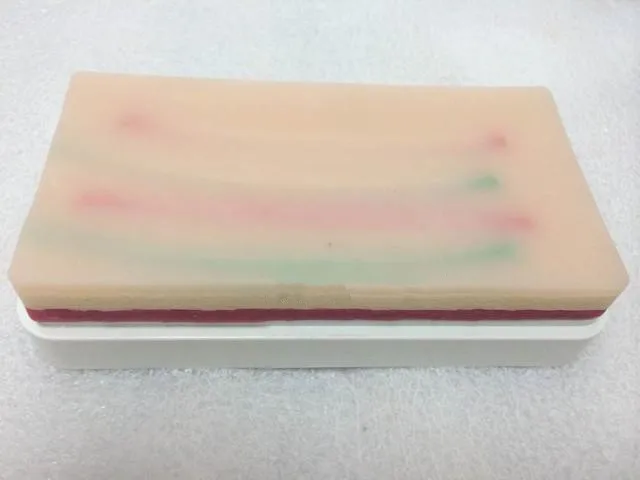 human skeleton anatomical skin suture stitching modeln anatomy Simulation Skin Wound Suture Practice Pad | Канцтовары для офиса и