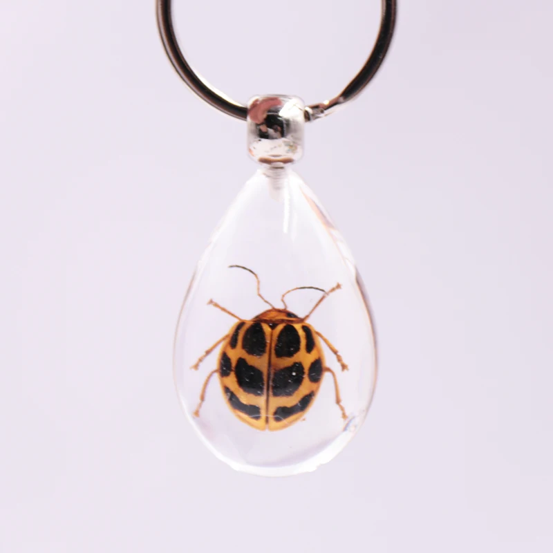 Изготовленный На Заказ Прозрачный образец смолы прозрачный рекламный брелок Божья коровка смола брелок ключи