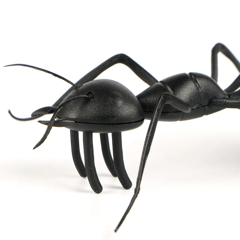 Большой солнечный Ant популярная детская Игрушечные лошадки Magic солнечные Ant насекомых играть и учиться образования Солнечной Новинка Игрушечные лошадки для детей