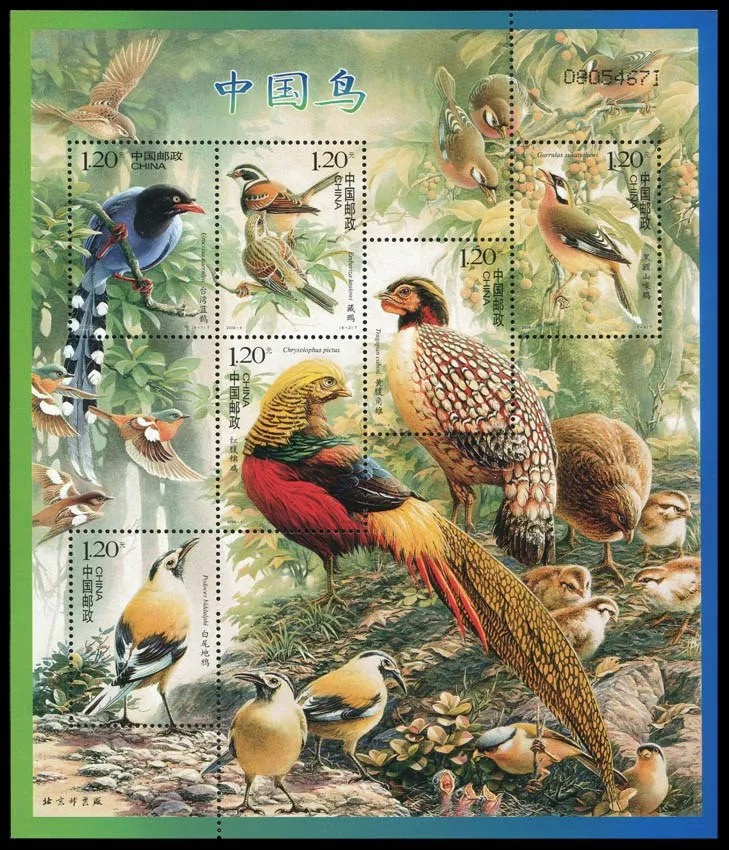 Birds Of China 2008 4 Сувенирный лист почтовая коллекция|Штампики| |