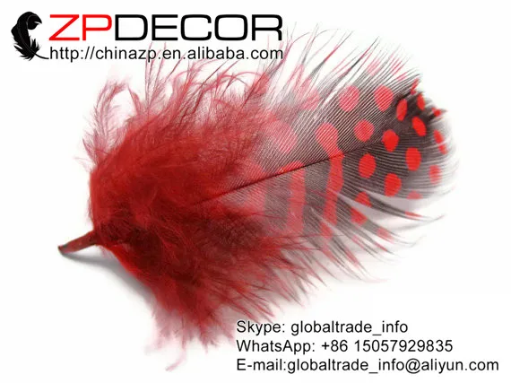 

ZPDECOR Hen Feathers Manufacturer 500pcs/lot High Quality Wholesale Red Guinea Hen Plumage Feathers