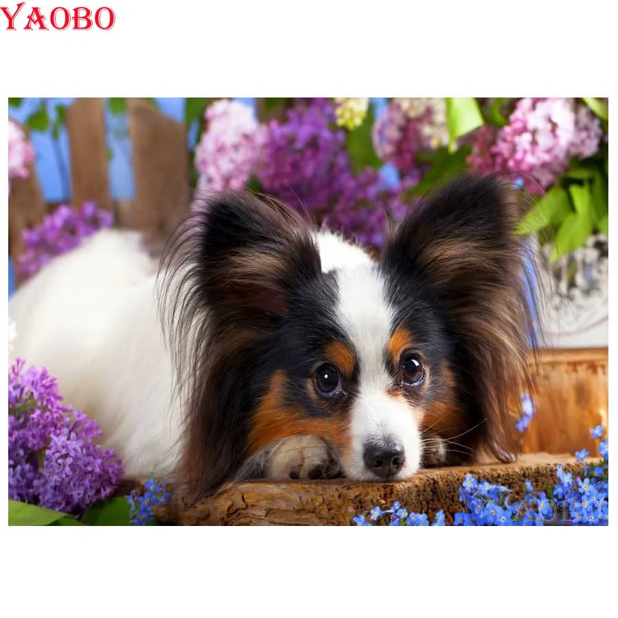 5D алмазная картина Papillon милый питомец полный квадратный дрель вышивка стразы