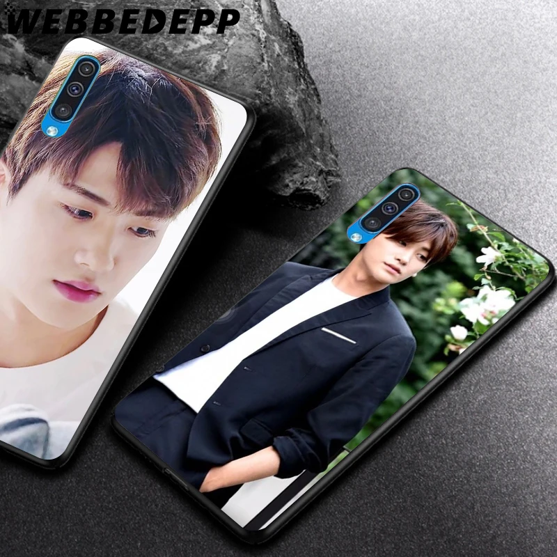 WEBBEDEPP Park Hyung Sik мягкий чехол для Samsung Galaxy A3 A5 A6 Plus A7 A8 A9 J6 | Мобильные телефоны и