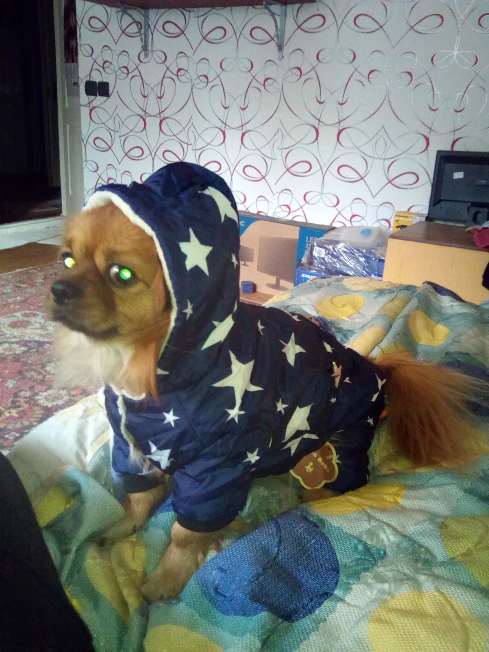 Высококачественная хлопковая одежда для собак русской зимы теплые толстые